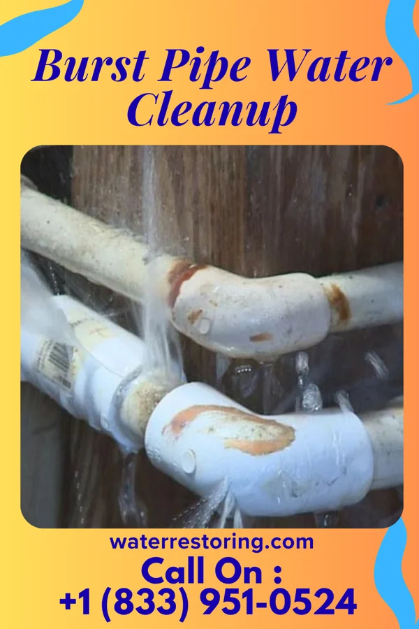 Burst Pipe Water Cleanup in Salunga, PA