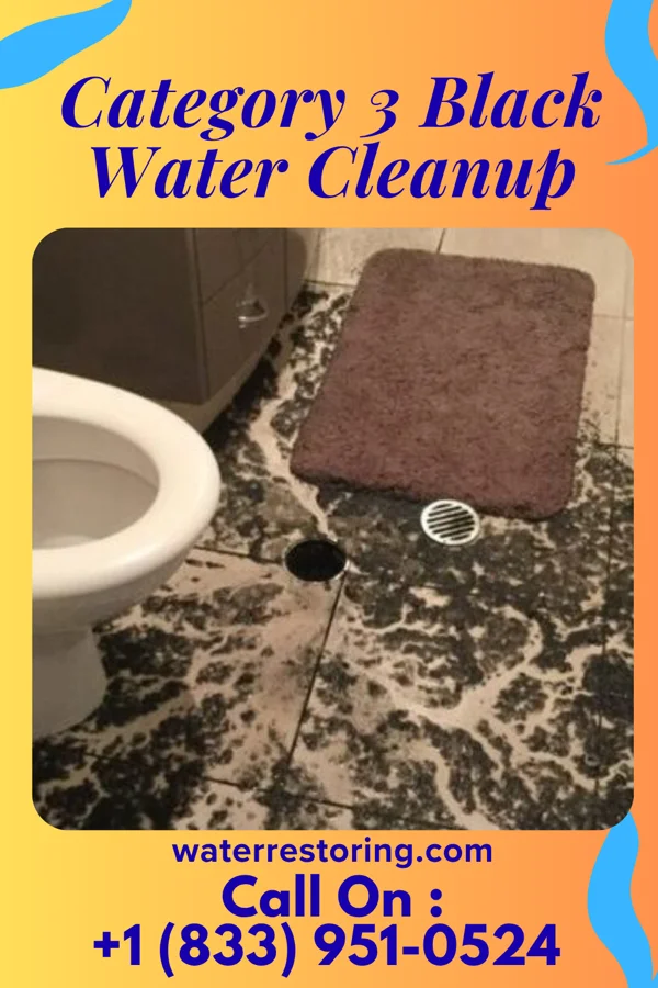 Category 3 Black Water Cleanup in Salunga, PA