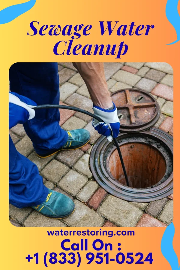 Sewage Water Cleanup in Salunga, PA
