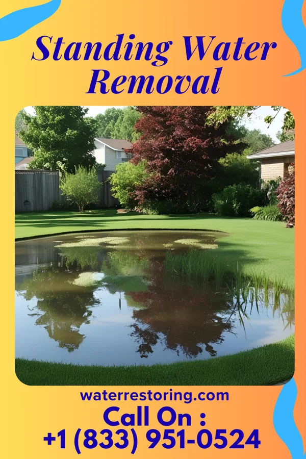 Standing Water Removal in Salunga, PA